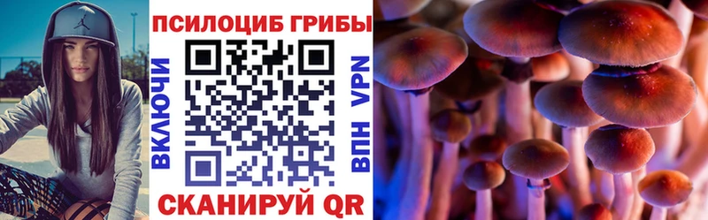 даркнет какой сайт закладки Алдан Галлюциногенные грибы мухоморы
